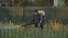 Bratislava mení stratégiu boja proti komárom. Riadiť ju bude manažér regulácie tohto hmyzu