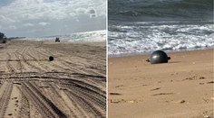FOTO: Na austrálskej pláži našli záhadné kovové gule. Úrady už majú pravdepodobné vysvetlenie