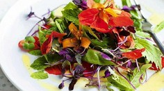 Znie to neuveriteľne, ale aj kvety sa dajú jesť