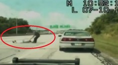 Dramatická akcia zachytená na videu: Podgurážený vodič sa váľal na ceste