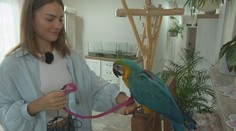 Mirka z Ruže má doma celý zverinec: Neuveríte, aké zvieratko si zaobstarala najnovšie