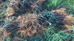 Neprešlo ani 24 hodín a lup z krádeže, ktorá nemá obdobu, sa našiel