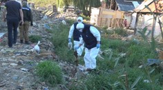 Zabil a rozštvrtil päť psov. Polícia páchateľa z východu Slovenska zadržala