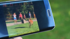 Turisti v Tatrách neverili vlastným očiam: Jeleň sa tu vybral na kúpalisko