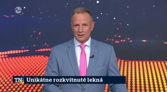 Unikátne rozkvitnuté lekná