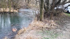 Otrasný prípad v Košiciach: V ľadovej vode našli utýraného psa