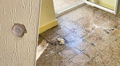 FOTO: Miesto, kde policajt usmrtil strelca z Dúbravky, lemujú diery po projektiloch a zaschnutá krv