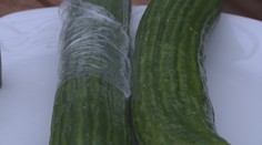 Predĺži plastový obal uhorke život? Pozrite si, ako dopadol náš experiment