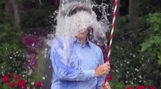 Pamätáte si výzvu Ice Bucket Challenge. Na toto sa minuli vyzbierané milióny