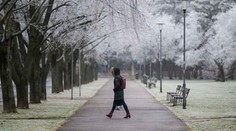 Po snehu a mrazoch príde zvrat v počasí. Už o pár dní nás čaká oteplenie o 10 stupňov