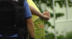 Polícia zasahovala proti drogovému gangu. Odniesol si to pitbull