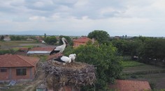 Bocianie hniezdo váži aj tonu a nie každý komín ho udrží. Ich trus navyše dokáže rozleptať aj vedenie