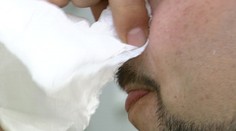 Ťažká skúška pre alergikov. V tomto období trpia