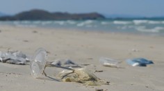 Nie všetko, čo je označené ako eko, pomáha planéte. Pozrite si, ako nenaletieť na marketingové klamstvá