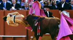 Bolesť, akú ste nevideli. Na veľké prekvapenie to matador rozchodil