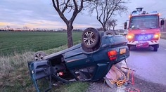 Tragická nehoda pri Dunajskej Strede: Vodič nezvládol zákrutu a narazil do stromu, zraneniam podľahol