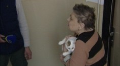 Susedia sa sťažujú na dôchodkyňu. Jej záľuba spôsobuje smrad