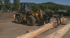 Čo sa deje so slovenským drevom? Naše lesy spustili novú technológiu na sledovanie jeho presunu