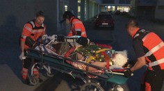 V Podpoľaní napadla medvedica dvoch mužov, jednému rozdriapala tvár. Zástupcovia regiónu žiadajú štát o pomoc