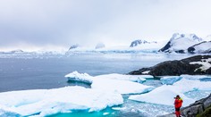 Vyšla nová štúdia o topení ľadovcov. Vyhliadky vyzerajú hrozivo