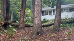 Šiel navštíviť starých rodičov, nedošiel tam. Chlapca (†15) zabil v búrke padajúci strom