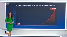 Indovia pracujúci na Slovensku