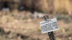 Neďaleko Donecka objavili masový hrob