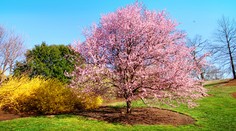 SHMÚ predpovedá, aký bude marec