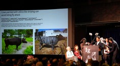 Môže alkohol zlepšiť našu schopnosť hovoriť cudzím jazykom? V USA odovzdali antinobelove ceny za absurdné výskumy