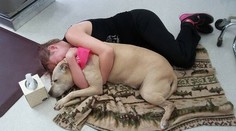 Milovaného psa musela nechať utratiť. Zdokumentovala jeho posledný deň