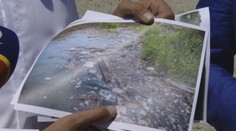 Z Jaroveckého ramena sa stáva cintorín zvierat. Zrejme za to môže stavba obchvatu