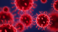 VIDEO: Vedci prvýkrát nafilmovali, ako sa covid šíri telom. Prienik do tohto orgánu znamenal smrť