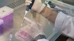 Európska lieková agentúra schválila remdesivir na liečbu COVID-19