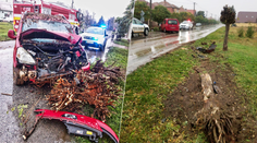 Vážna nehoda na juhu Slovenska: Tvrdý náraz vodiča, dôvod je jasný