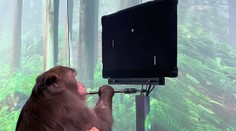 Muskov Neuralink ukázal pôsobivé video: Makak hrá ping pong iba pomocou myšlienok