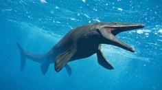 Šesťmetrové monštrum z praveku. Vedci opísali nového predátora