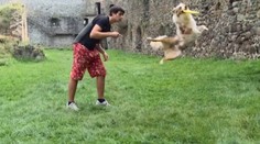 Chlapec a pes. Spolu dokážu neuveriteľné veci