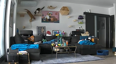 Sekundy hrôzy. Juhozápadné Slovensko zasiahlo jedno z najsilnejších zemetrasení za posledné roky