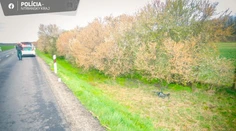 Cyklistka, ktorú vodič pri obci Bajč zrazil a nechal ležať v tráve, je v kritickom stave