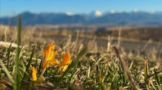 Užite si posledné hodiny slnka. V sobotu sa počasie zmení, teploty budú prekvapivo vysoké