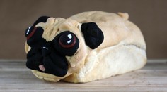 Na tejto fotke je úplne niečo iné, ako si myslíte