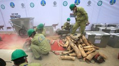 Na letisku v Hanoji zadržali 125 kilogramov nosorožích klov