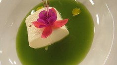 RECEPT NA DNES: Vanilkovo-smotanové želé s kiwi a medom