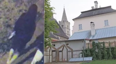 Nič mu nebolo sväté. Zlodej raboval u biskupa, zanechal po sebe usvedčujúci dôkaz