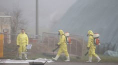 V pražskej zoo sa potvrdila vtáčia chrípka, budú platiť mimoriadne opatrenia