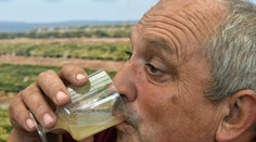 Začína sa sezóna burčiaku: Jednoduché tipy a triky, ako kúpiť kvalitu