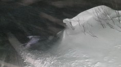 Niektoré časti Slovenska opäť potrápia snehové jazyky a záveje. SHMÚ vydal výstrahy aj pred vetrom