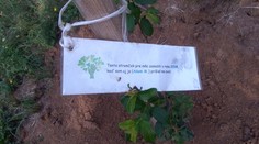 Každé novonarodené dieťa v Hontianskych Tesároch bude mať odteraz pamiatku. A nie hocijakú