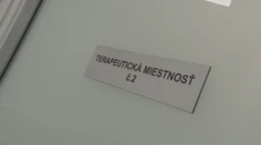 Psychiatri majú o mladú generáciu strach. Po koronavíruse nastúpila pandémia duševných chorôb