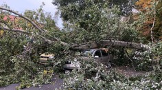 Veterná búrka Mortimer vyvracala v Česku stromy. Hlásia aj výpadky energie